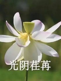 末世旅行社