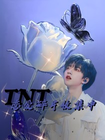 TNT：恋爱碎片收集中
