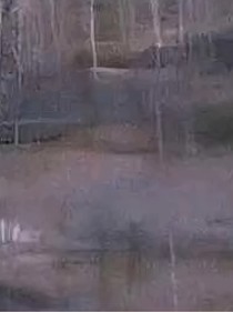 詭三國