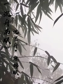 沉舟南眠