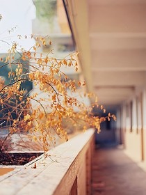恶——