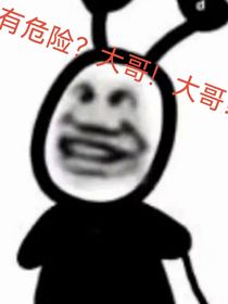有危险？大哥！！大哥！！