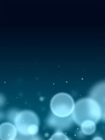 秋日之花（原创）