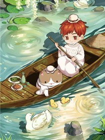 喵风云涌