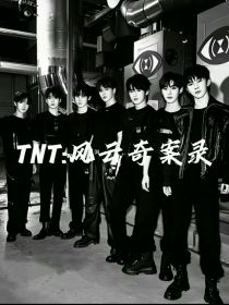 TNT：风云奇案录