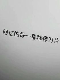 不可提及的他