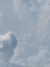 我穿成了系统