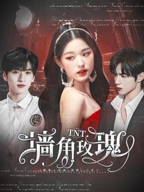 TNT：墙角玫瑰