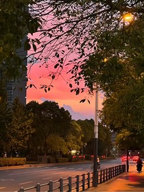 这个盛夏……