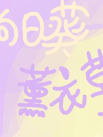 薰衣草与向日葵