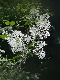 遇见2无悔
