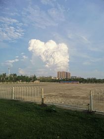 黑猫警长和黑小西