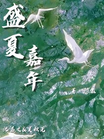 盛夏嘉年