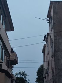 智障二人组