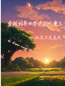 穿越到异世界来打败魔王