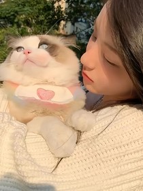 宠溺爱
