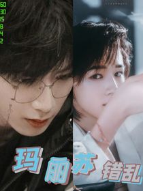 文轩：玛丽苏错乱