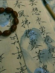 披星戴月：我的未来我做主