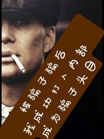 被骗子骗后我打入敌营成为骗子头目