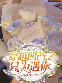 穿越凹凸之只为遇你