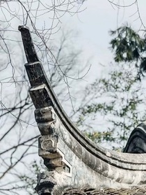 倚柳吟