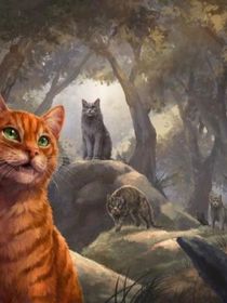 猫武士之叶辰归来
