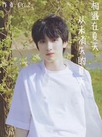 相遇在夏天，從未結(jié)束的夏天