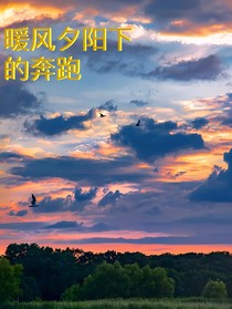 暖风夕阳下的奔跑