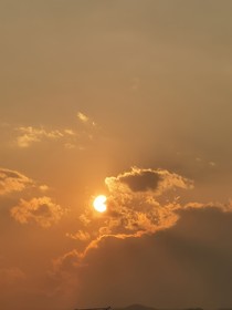 晚风压枝