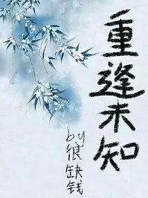 重逢未知