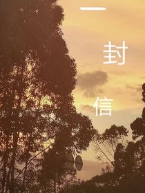 小z：一封信