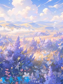 薰衣草海