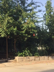 月深无年久