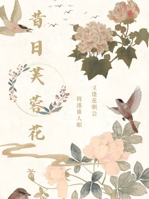 昔日芙蓉花