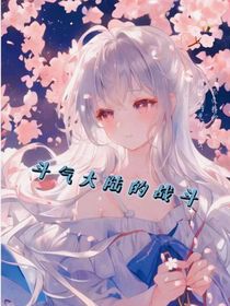斗气世界的战斗