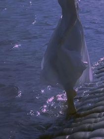 死于花海