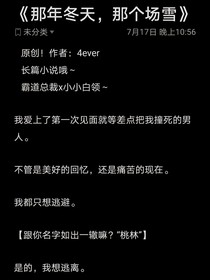 那年冬天，那場雪