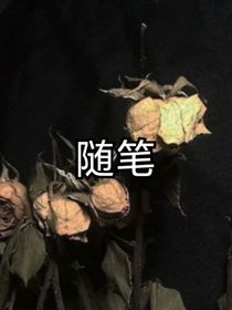 随笔（原创……）
