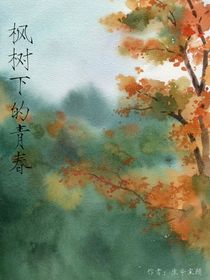 枫树下的青春