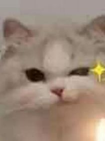 重生归来之豪门女配