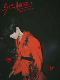 张极：与你相伴-d072