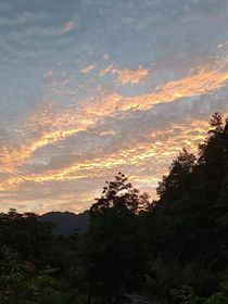 给他的信