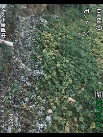 难逑