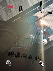 相遇的礼物