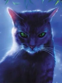 猫武士三部曲2：阴霾笼罩