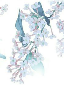 長公主之戀