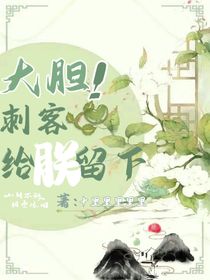 大胆！刺客，给朕留下