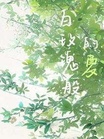 白玫瑰般的夏