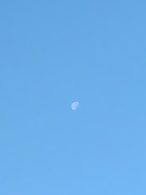 花千骨：紙短情長