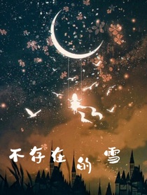 不存在的雪